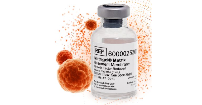 Matrigel Matrix 2026