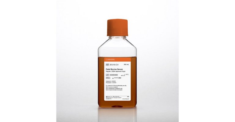 Fetal Bovine Serum (FBS)