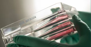 Corning Specialty Media and Solutions Product Portfolio