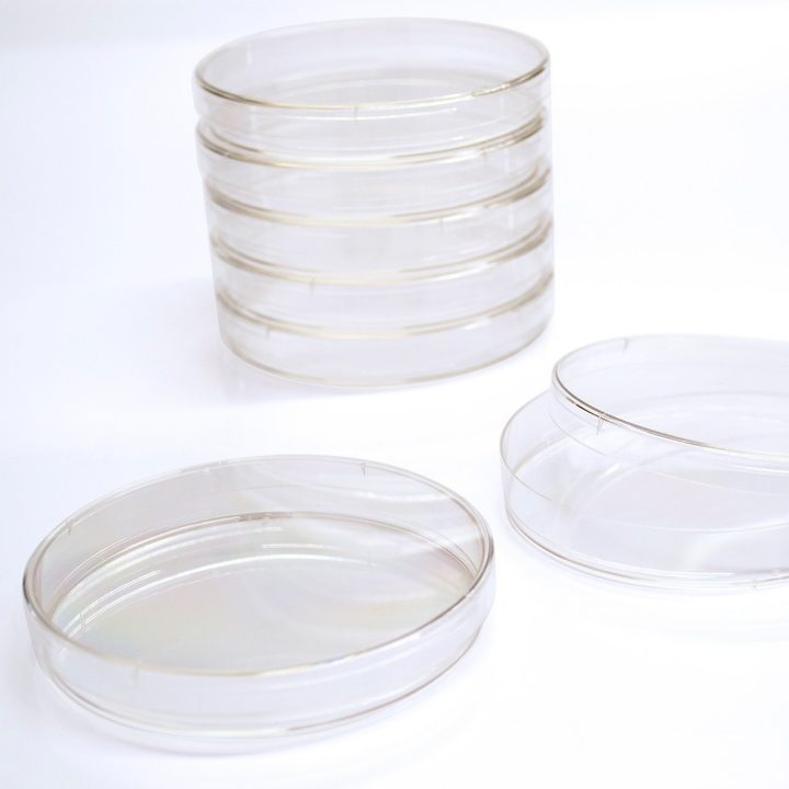 Gosselin Petri Dishes
