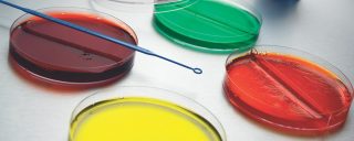 International Association for Food Protection (IAFP) 2015 Annual Meeting