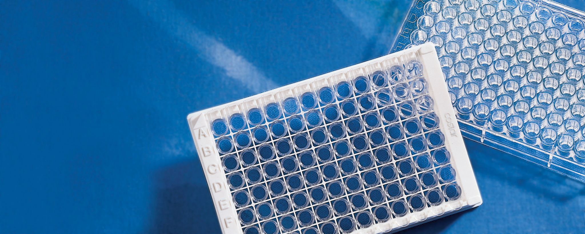 corning carbo bind surface carbohydrate binding assays corning