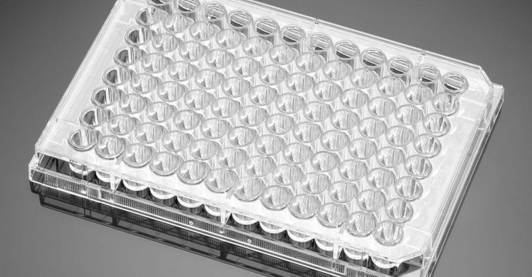 BioCoat Microplates