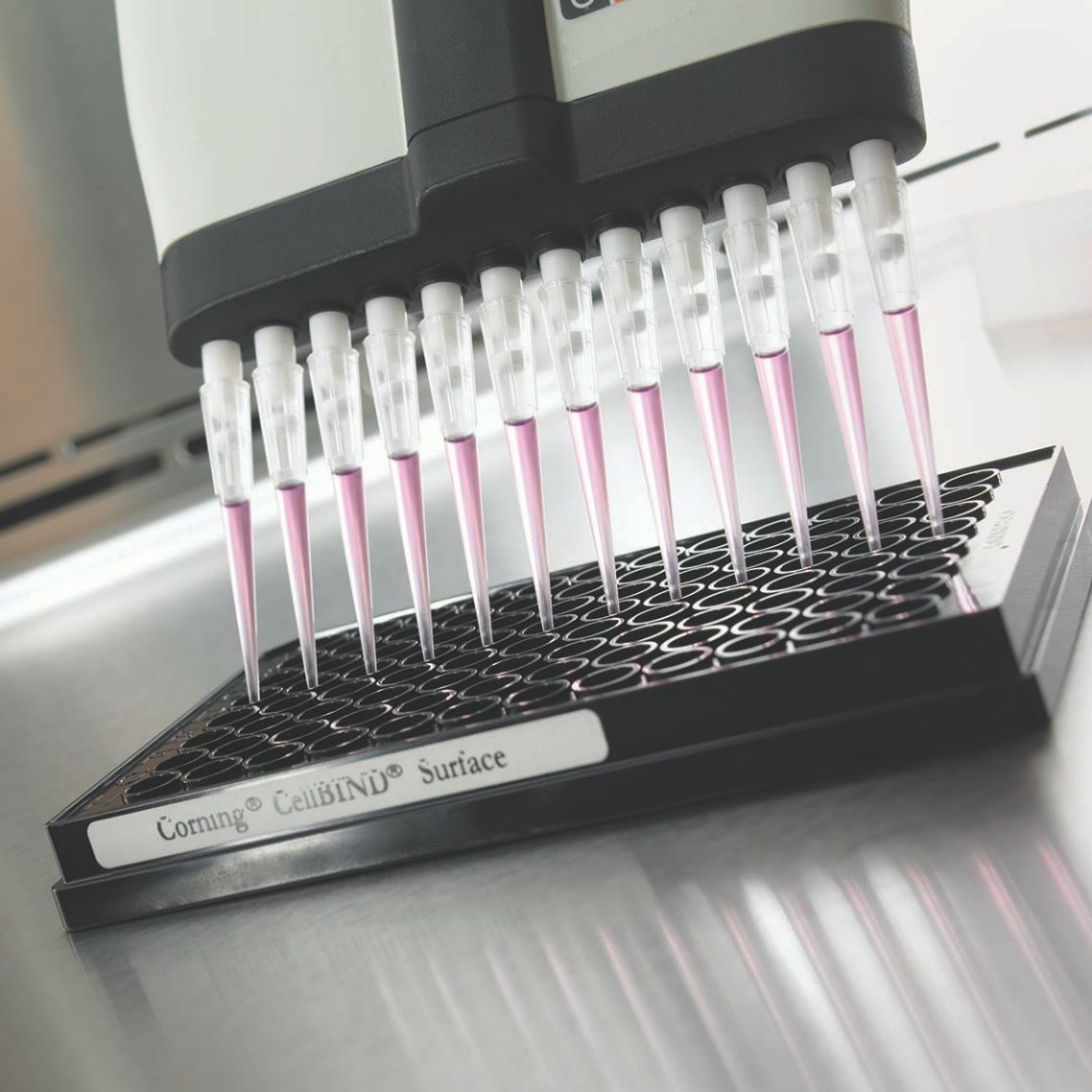Cell-Based Assay Microplates | Microplates | Corning