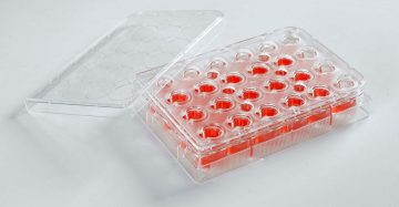 Permeable supports