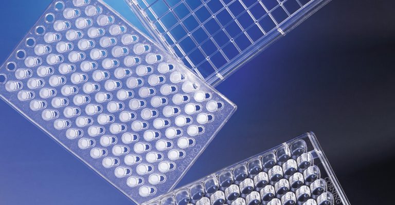 permeable-supports-ali-hts-transwell-96-well-permeable-support