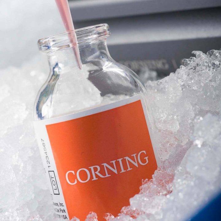 Corning® Matrigel® Matrix Everything You Ever Wanted to Ask Corning