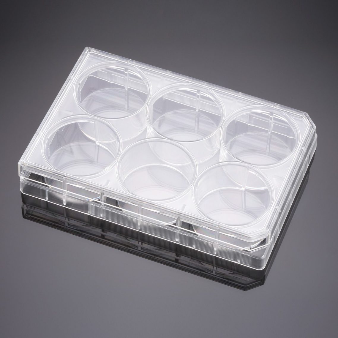 CellBIND® Surface Advanced Tissue Culture Corning