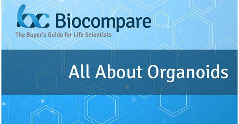 All About Organoids e-Book