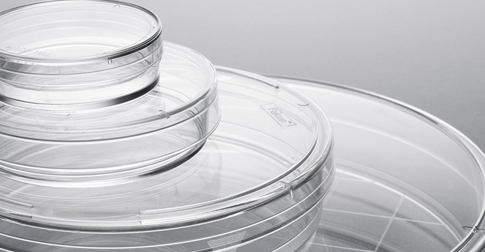 CellBIND® Surface Advanced Tissue Culture Corning