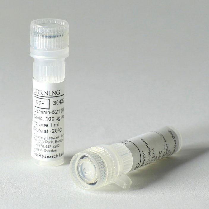 Synthemax Vitronectin Substrate | Stem Cell Expansion and Adhesion | Corning