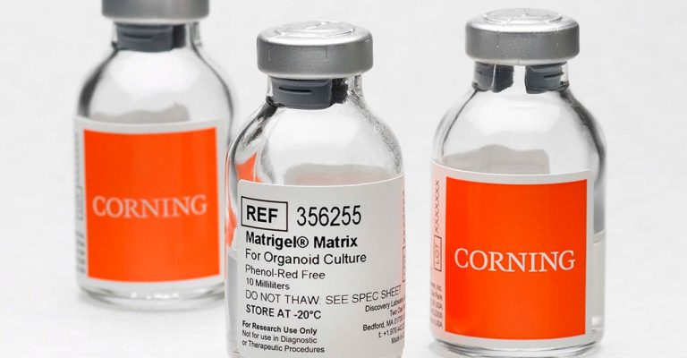 Corning Matrigel Matrix for Organoid Culture  