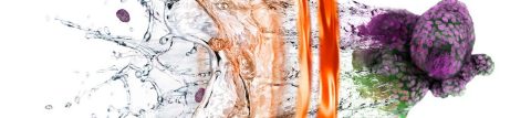 Corning® Matrigel® Matrix