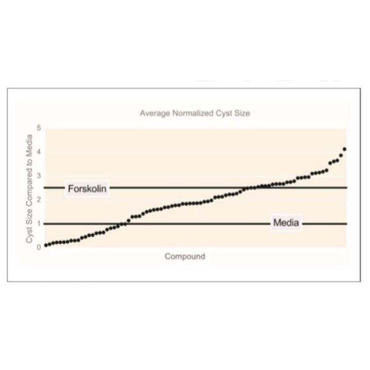 Matrigel Matrix3D Plates Extracellular Matrix Precoated Plates