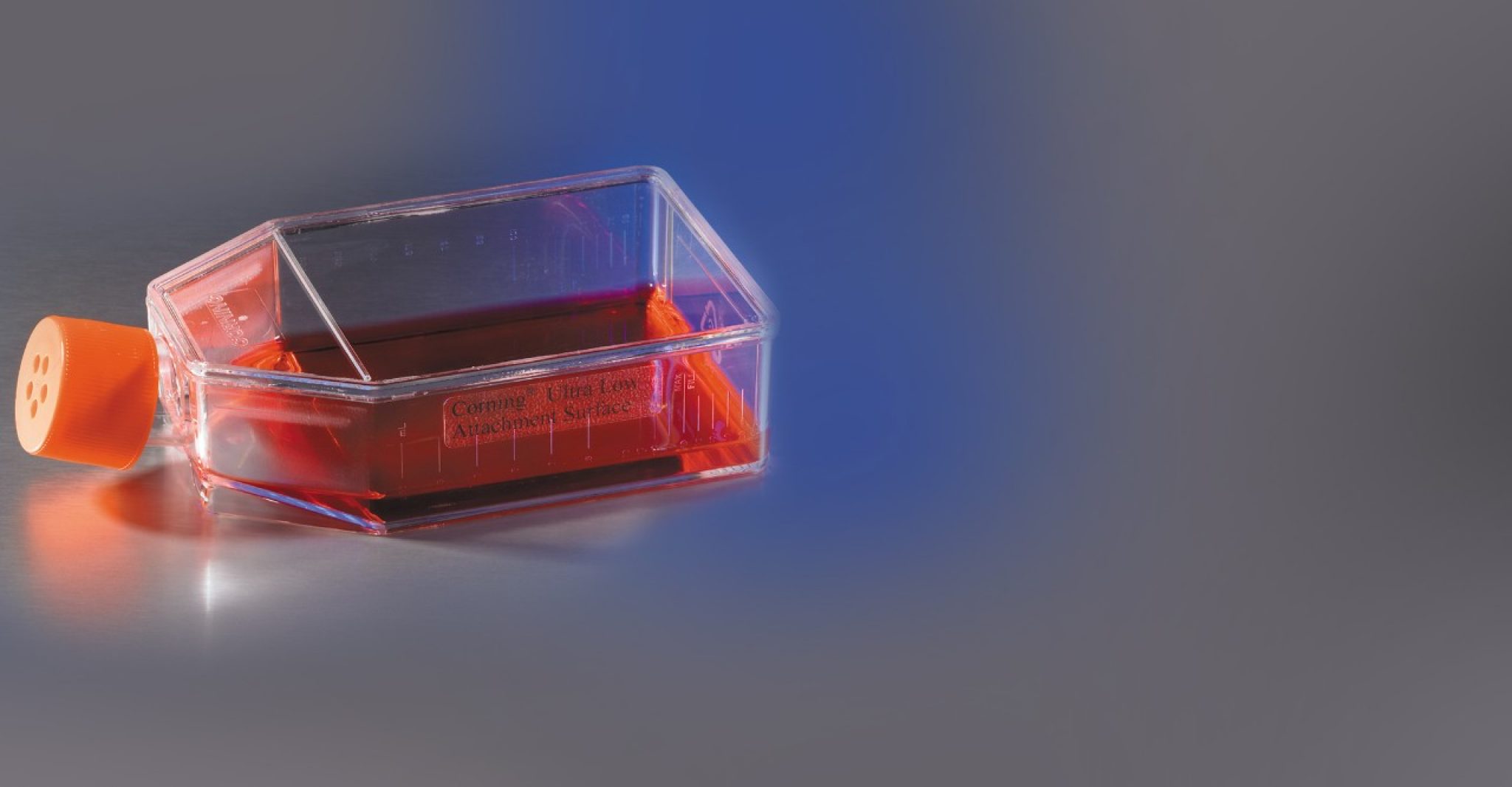 UltraLow Attachment Surface Enable 3D Spheroid Formation Corning