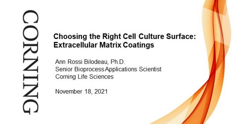 Choosing the Right Cell Culture Surface: Extracellular Matrix Coatings