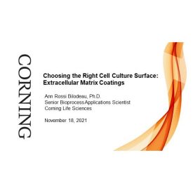 Choosing the Right Cell Culture Surface: Extracellular Matrix Coatings