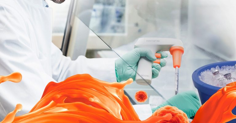 What Makes a 3D Cell Culture Model Truly NAMs-ready? 