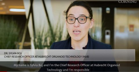 Using Organoids for Personalized Medicine: An Interview with Sylvia Boj from HUB