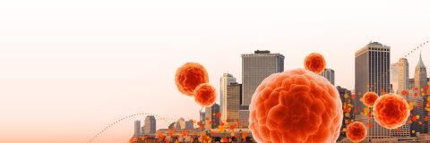 2026 Corning 3D Cell Culture Summit