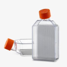 Elplasia 12K Flask Group