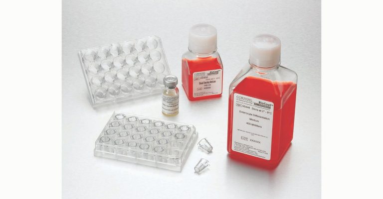 Cell Culture Kits and Assay Systems
