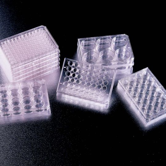 Cell Culture Consumables Cell Cultureware, Surfaces and Media Corning