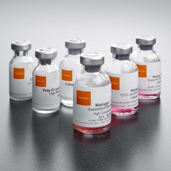 Corning® Matrigel® Matrix and Collagen Availability Update