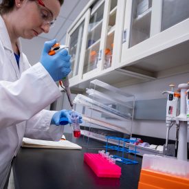 Scientist using a pipettor