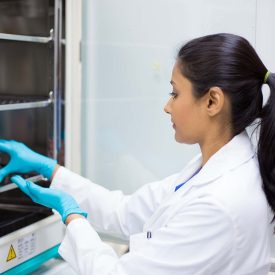 Lab researcher holding tissue culture dishes in incubator