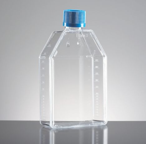 iv 75cm²