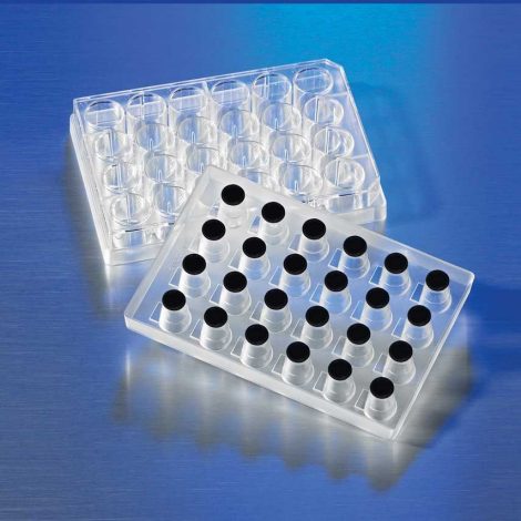 Corning® FluoroBlok™ Cell Culture Inserts | Light-tight PET Membrane ...