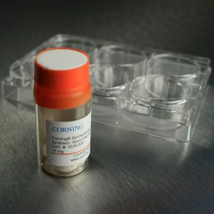 Corning® Synthemax®(シンセマックス)ビトロネクチン基質｜幹細胞増殖