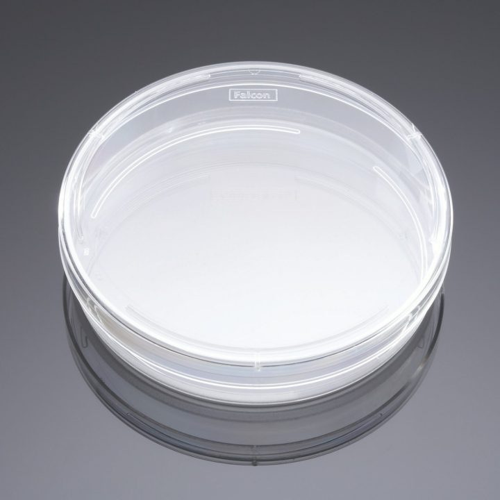 Falcon® Dishes 