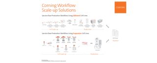 Vaccine Production from Mammalian Cells