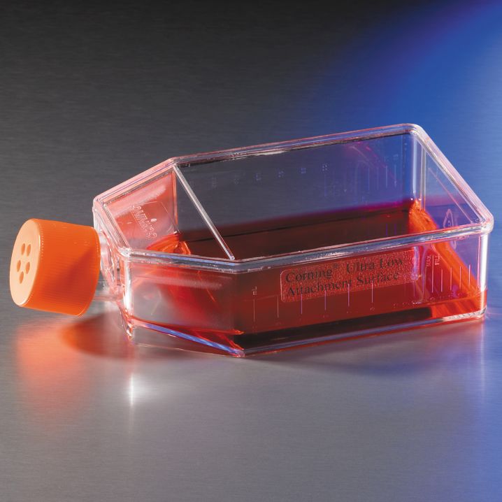 UltraLow Attachment Surface Enable 3D Spheroid Formation Corning