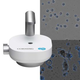 Cell Counter Organoid Software