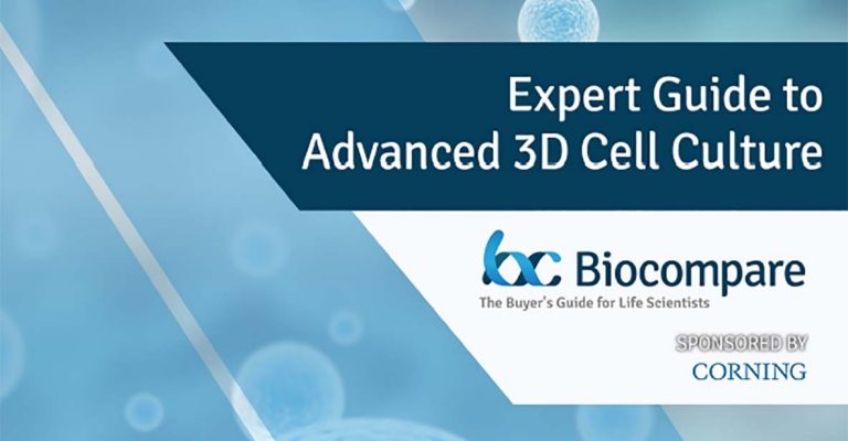 E-book Download: Expert Guide to Advanced 3D Cell Culture