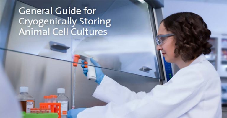 General Guide for Cryogenically Storing Animal Cell Cultures