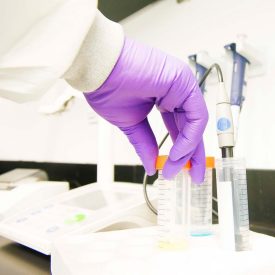 Scientist holding tube with gloved hand