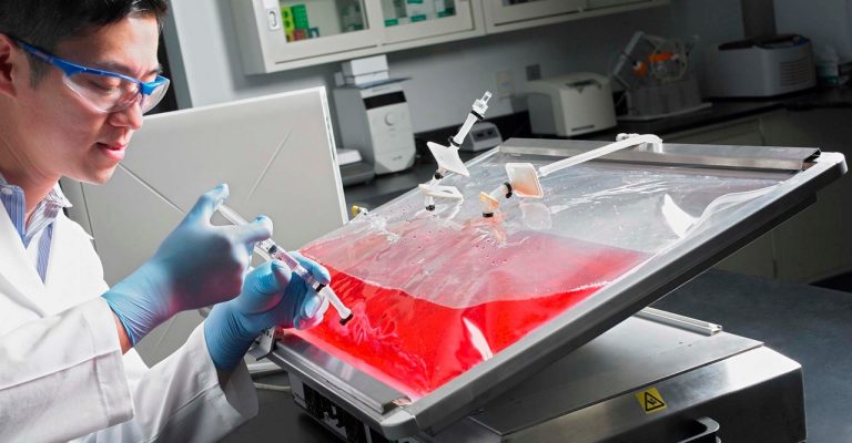 Scientist working with media bag