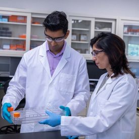 Scientist working with CellSTACK