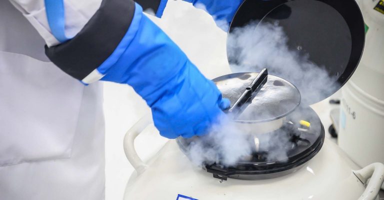 cryopreservation