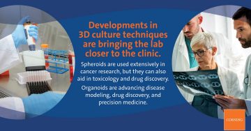 Developments in 3D culture techniques are brining the lab closer to the clinic.
