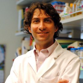 Benjamin Freedman, Ph.D. | Assistant Professor | University of Washington School of Medicine