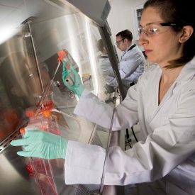 Scientist working under a hood