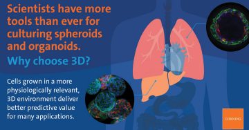 Why Choose 3D Cell Culture?