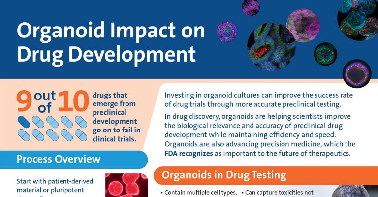 Organoid Impact on Drug Development Infographic