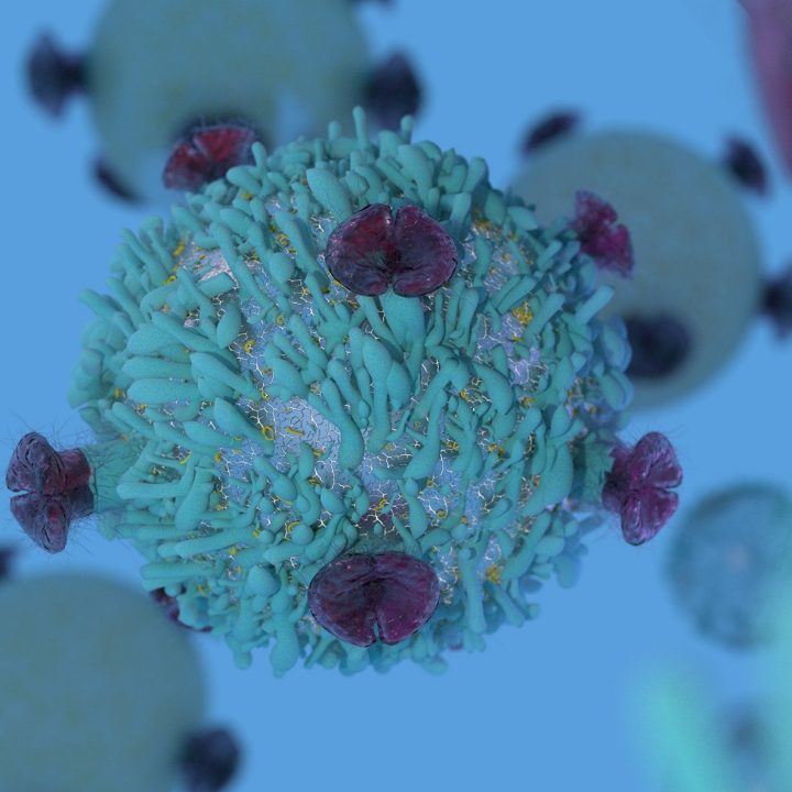 CAR-T Cells, Immunotherapy, and 3D Models in Cancer Research ...