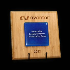 Responsible Supplier Program Collaboration during Avantor's 2023 Supplier Awards